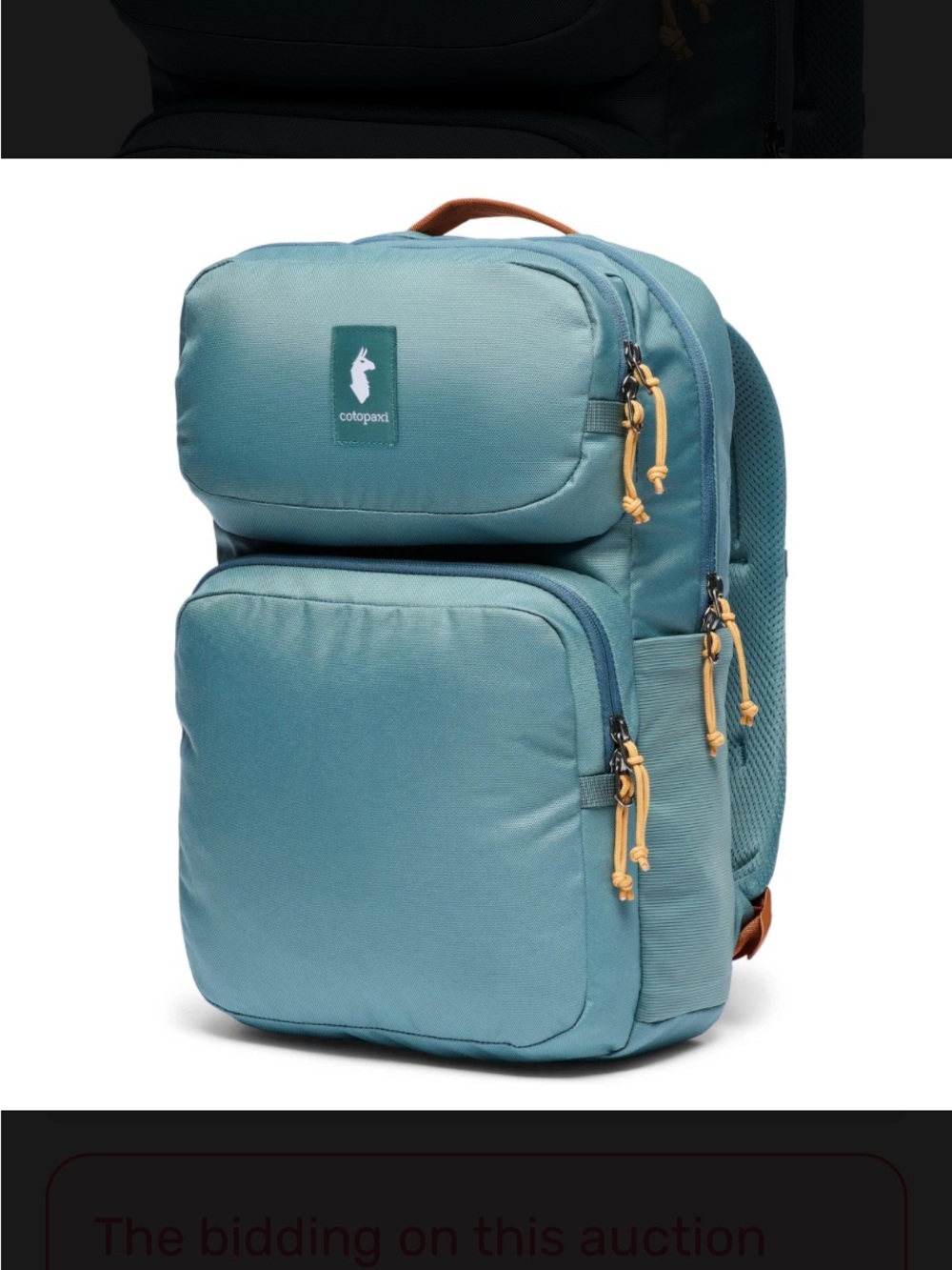 Cotopaxi Tasra 16L Everglade Backpack new with tags